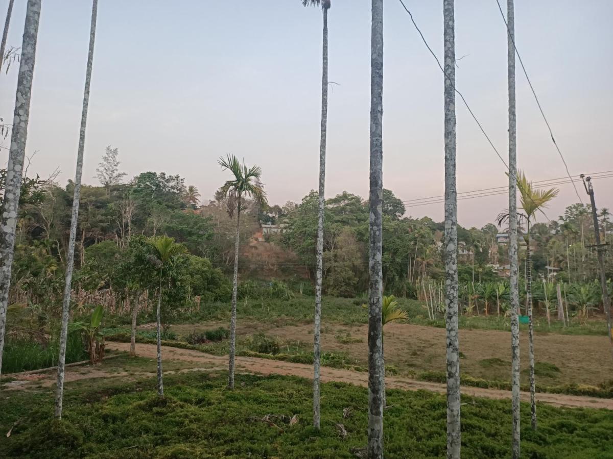Bethel Service Villa, Mananthavady, Ваянад Экстерьер фото